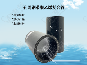PE孔网钢带复合管