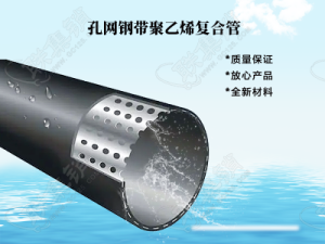 PE孔网钢带复合管